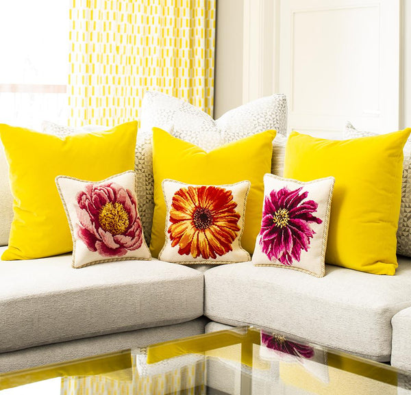 Setting the New Standard A Closer Look at the New Elizabeth Bradley