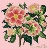 Camellia Needlepoint Kit Elizabeth Bradley Design Pale Rose 