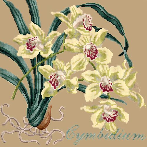 Cymbidium (Boat Orchid) Needlepoint Kit Elizabeth Bradley Design Sand 