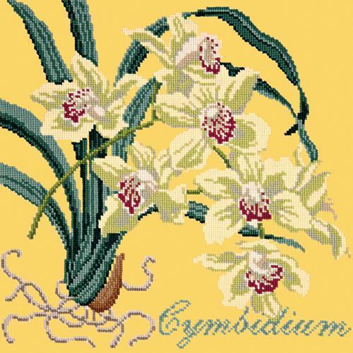 Cymbidium (Boat Orchid) Needlepoint Kit Elizabeth Bradley Design Sunflower Yellow 