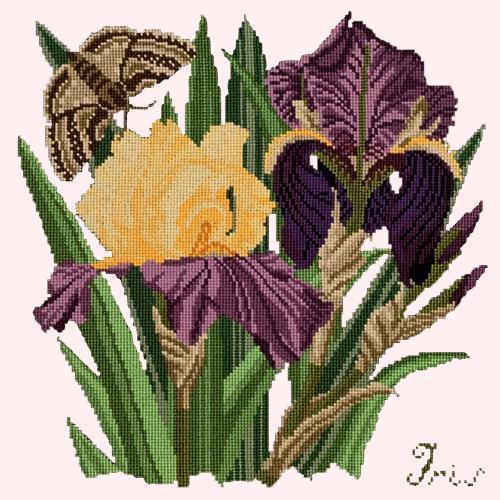 Iris Needlepoint Kit Elizabeth Bradley Design