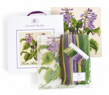 Hosta Atlantis