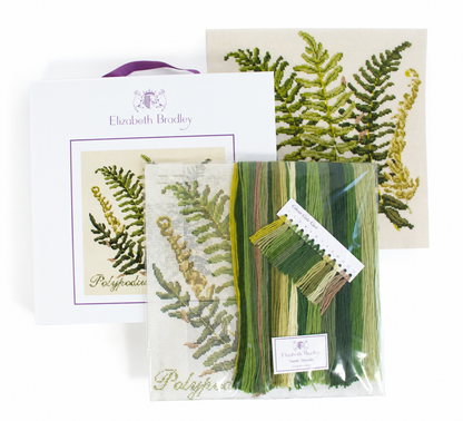 Polypodium