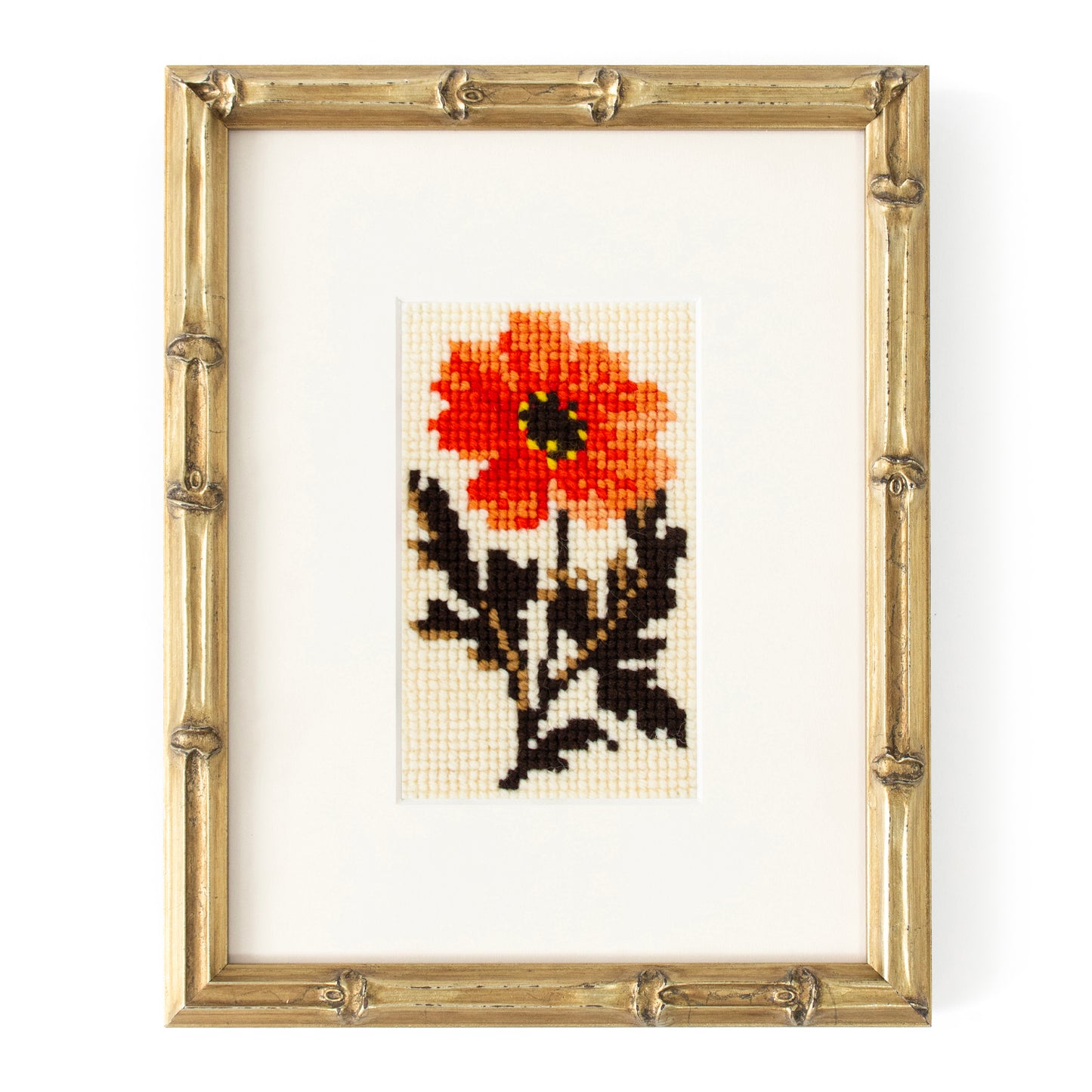 Dahlia Starter Kit