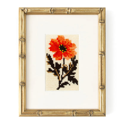 Dahlia Starter Kit