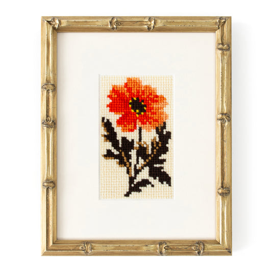 Dahlia Starter Kit