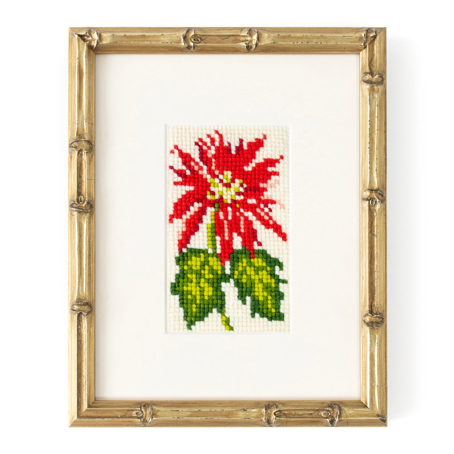 Poinsettia Starter Kit