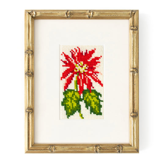 Poinsettia Starter Kit