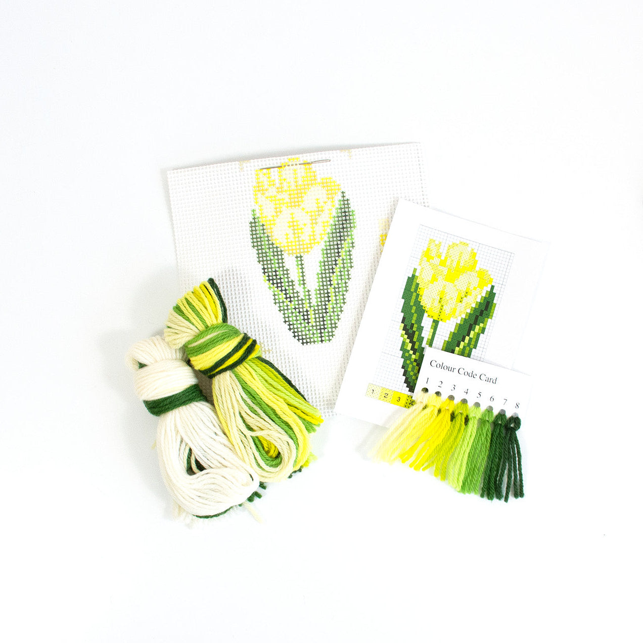 Tulip Starter Kit
