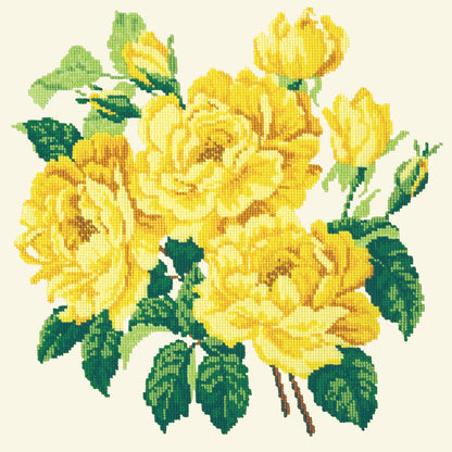 Yellow English Rose