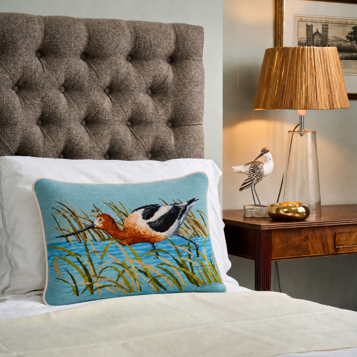 The American Avocet