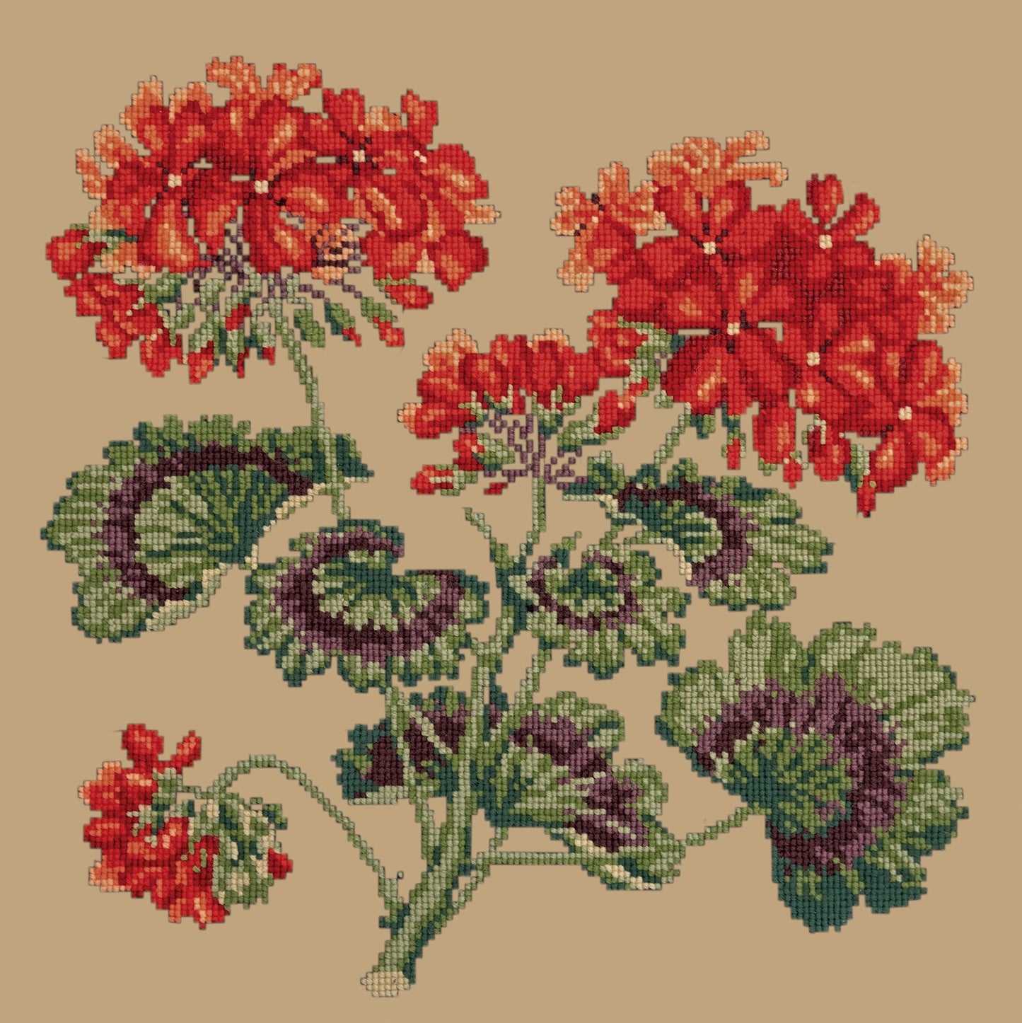 Geranium Needlepoint Kit Elizabeth Bradley Design Sand 