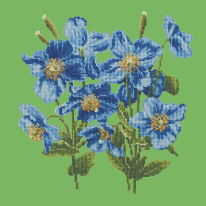 Himalayan Poppy Needlepoint Kit Elizabeth Bradley Design Grass Green 