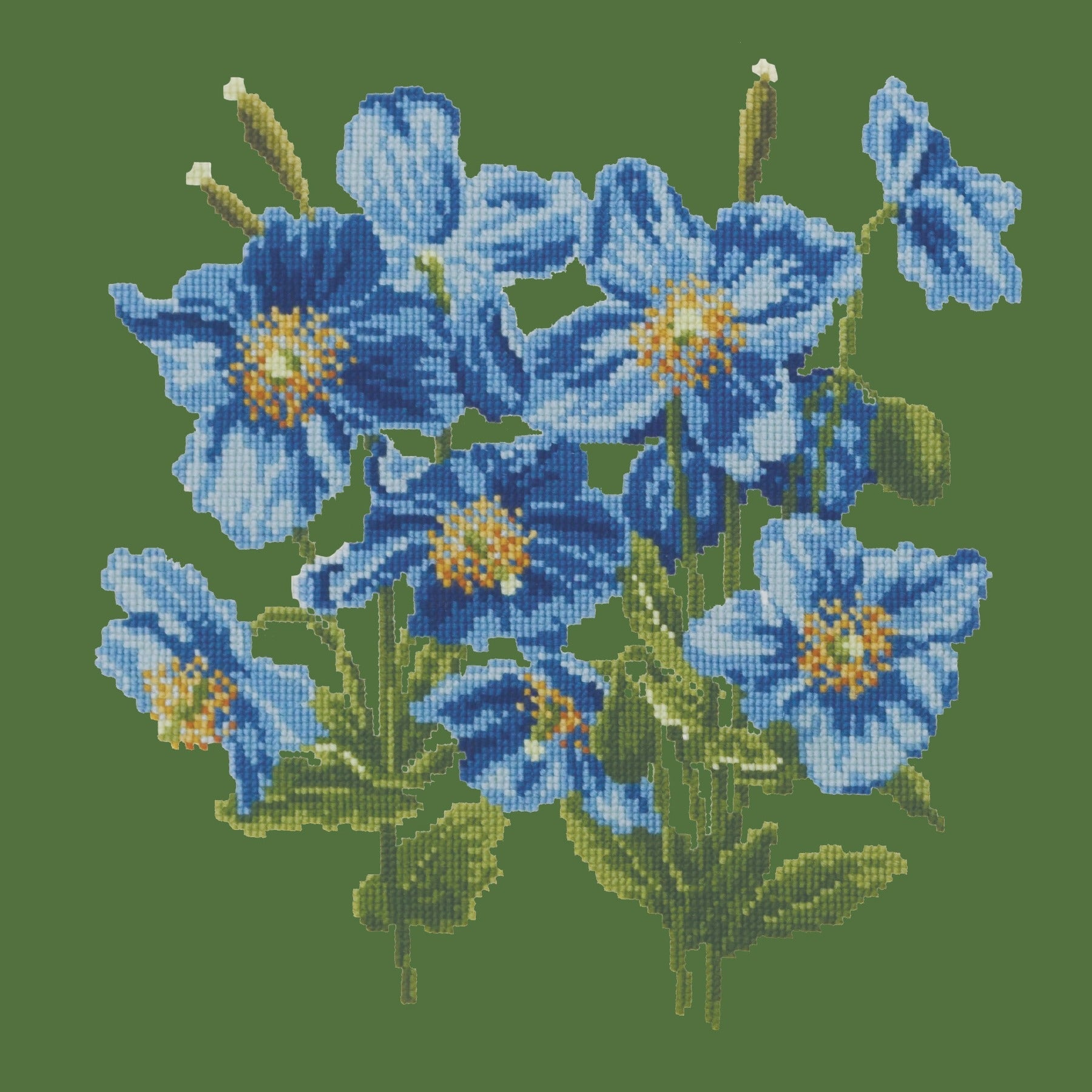 Himalayan Poppy Needlepoint Kit Elizabeth Bradley Design Dark Green 