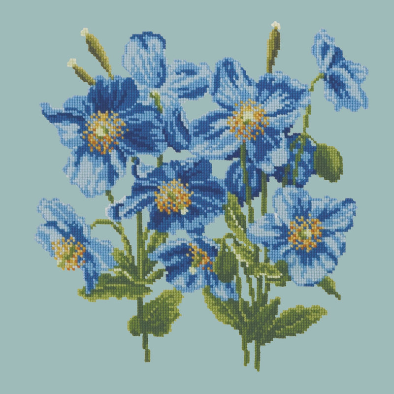 Himalayan Poppy Needlepoint Kit Elizabeth Bradley Design Pale Blue 