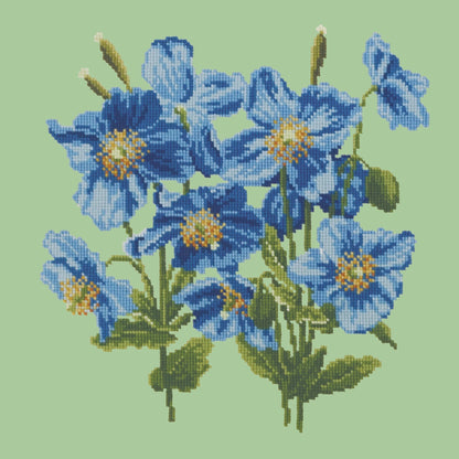 Himalayan Poppy Needlepoint Kit Elizabeth Bradley Design Pale Green 