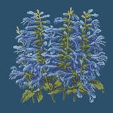 Salvia Needlepoint Kit Elizabeth Bradley Design Dark Blue 
