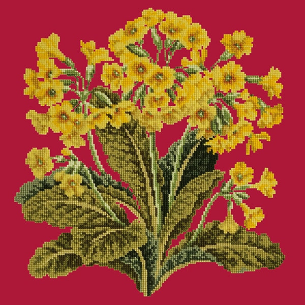 Cowslip Needlepoint Kit Elizabeth Bradley Design Bright Red 