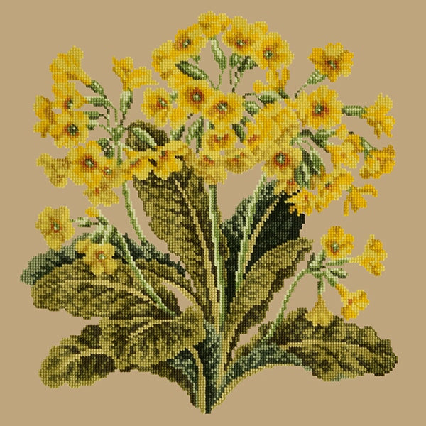 Cowslip Needlepoint Kit Elizabeth Bradley Design Sand 