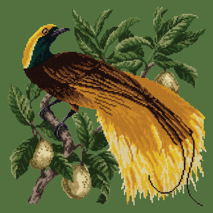 Emperor Needlepoint Kit Elizabeth Bradley Design Dark Green 