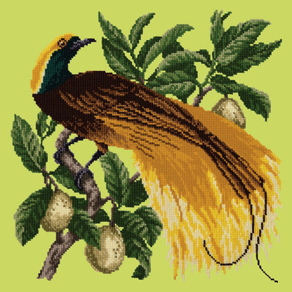 Emperor Needlepoint Kit Elizabeth Bradley Design Pale Lime 