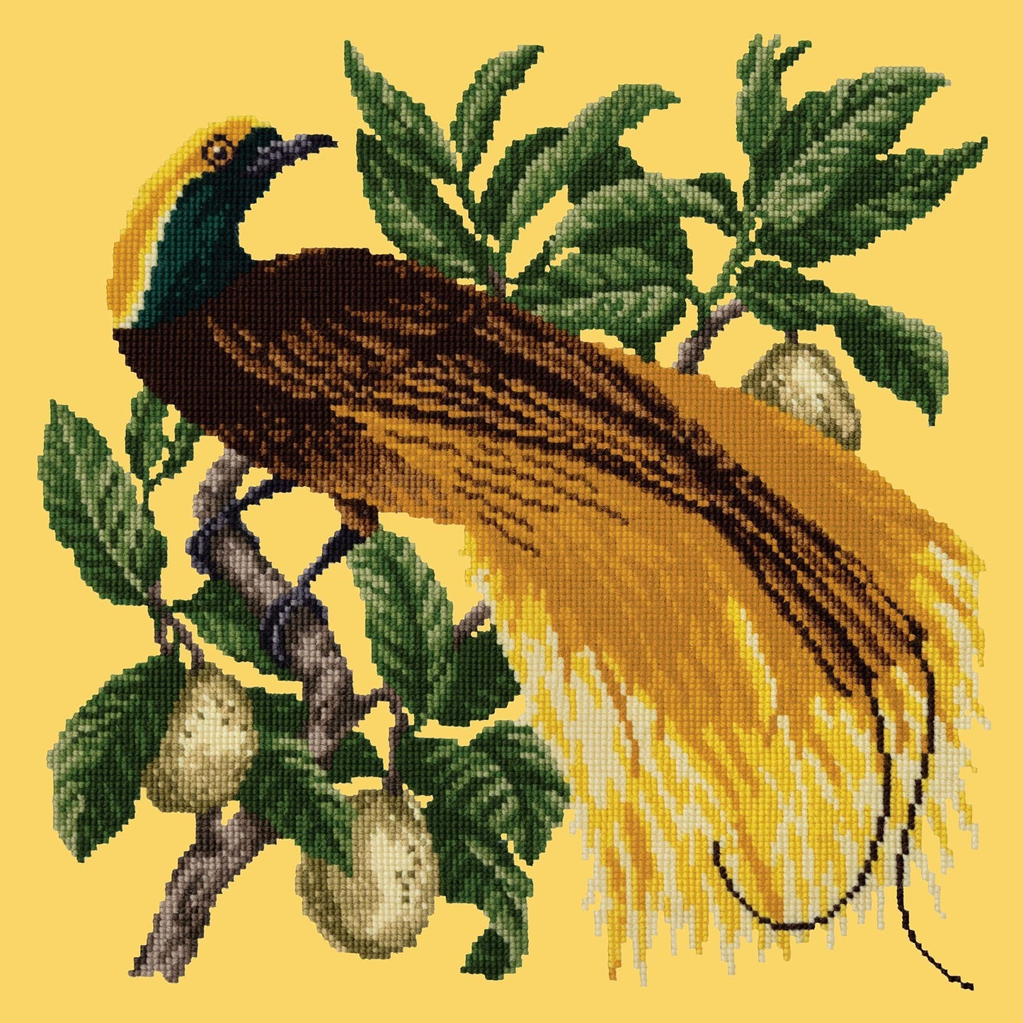 Emperor Needlepoint Kit Elizabeth Bradley Design Sunflower Yellow 