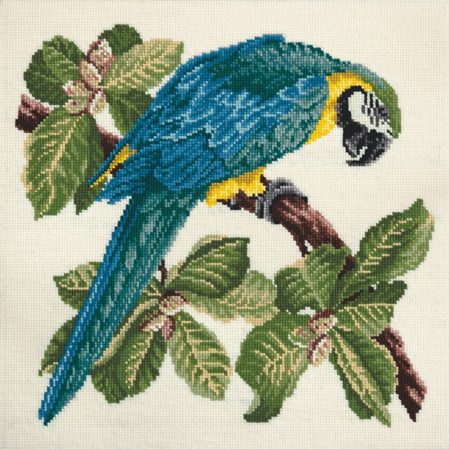 Macaw Needlepoint Kit Elizabeth Bradley Design Winter White 