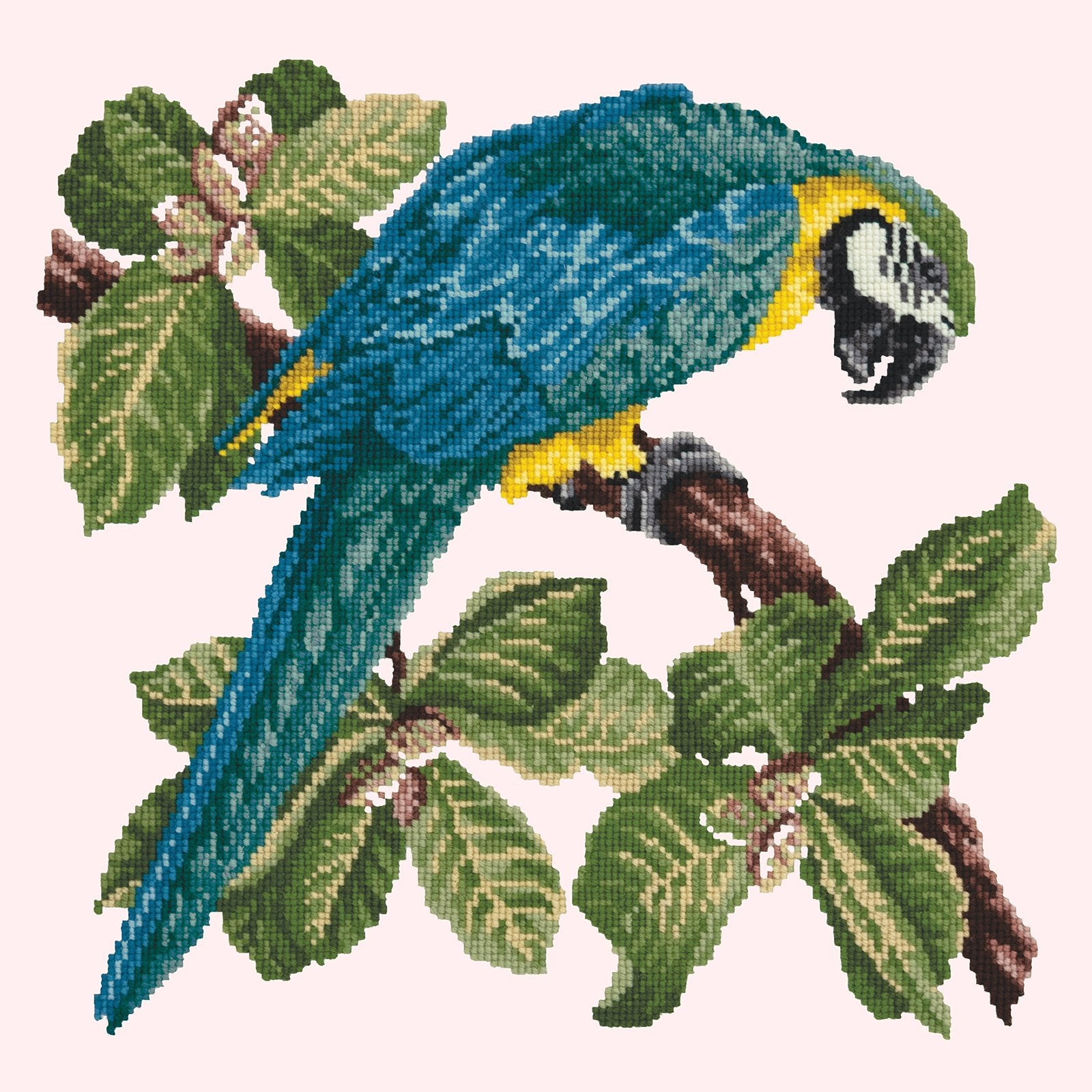 Macaw Needlepoint Kit Elizabeth Bradley Design Cream 