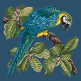 Macaw Needlepoint Kit Elizabeth Bradley Design Dark Blue 