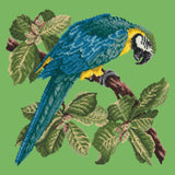 Macaw Needlepoint Kit Elizabeth Bradley Design Grass Green 
