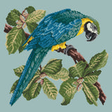 Macaw Needlepoint Kit Elizabeth Bradley Design Pale Blue 