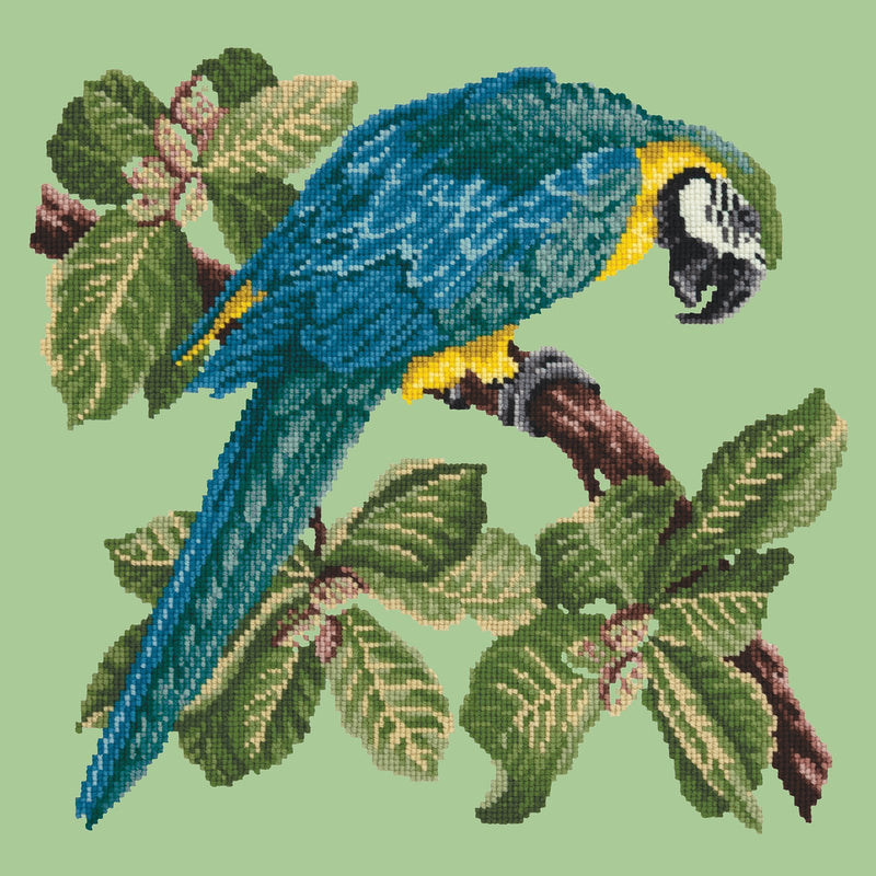 Macaw Needlepoint Kit Elizabeth Bradley Design Pale Green 
