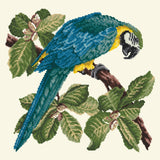 Macaw Needlepoint Kit Elizabeth Bradley Design 