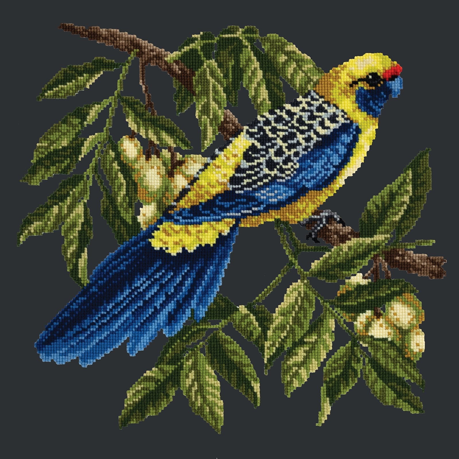 Rosella Needlepoint Kit Elizabeth Bradley Design Black 
