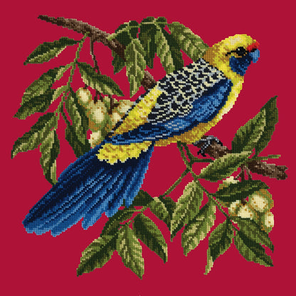 Rosella Needlepoint Kit Elizabeth Bradley Design Bright Red 