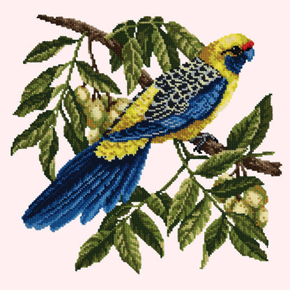 Rosella Needlepoint Kit Elizabeth Bradley Design Cream 