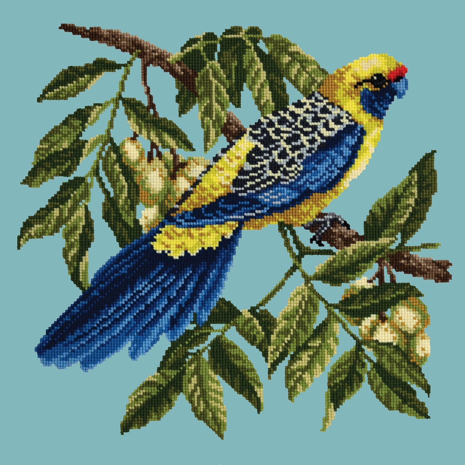 Rosella Needlepoint Kit Elizabeth Bradley Design Duck Egg Blue 