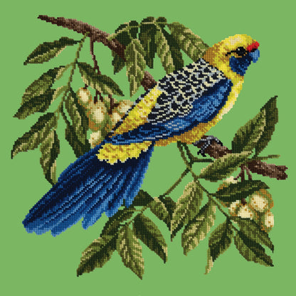 Rosella Needlepoint Kit Elizabeth Bradley Design Grass Green 