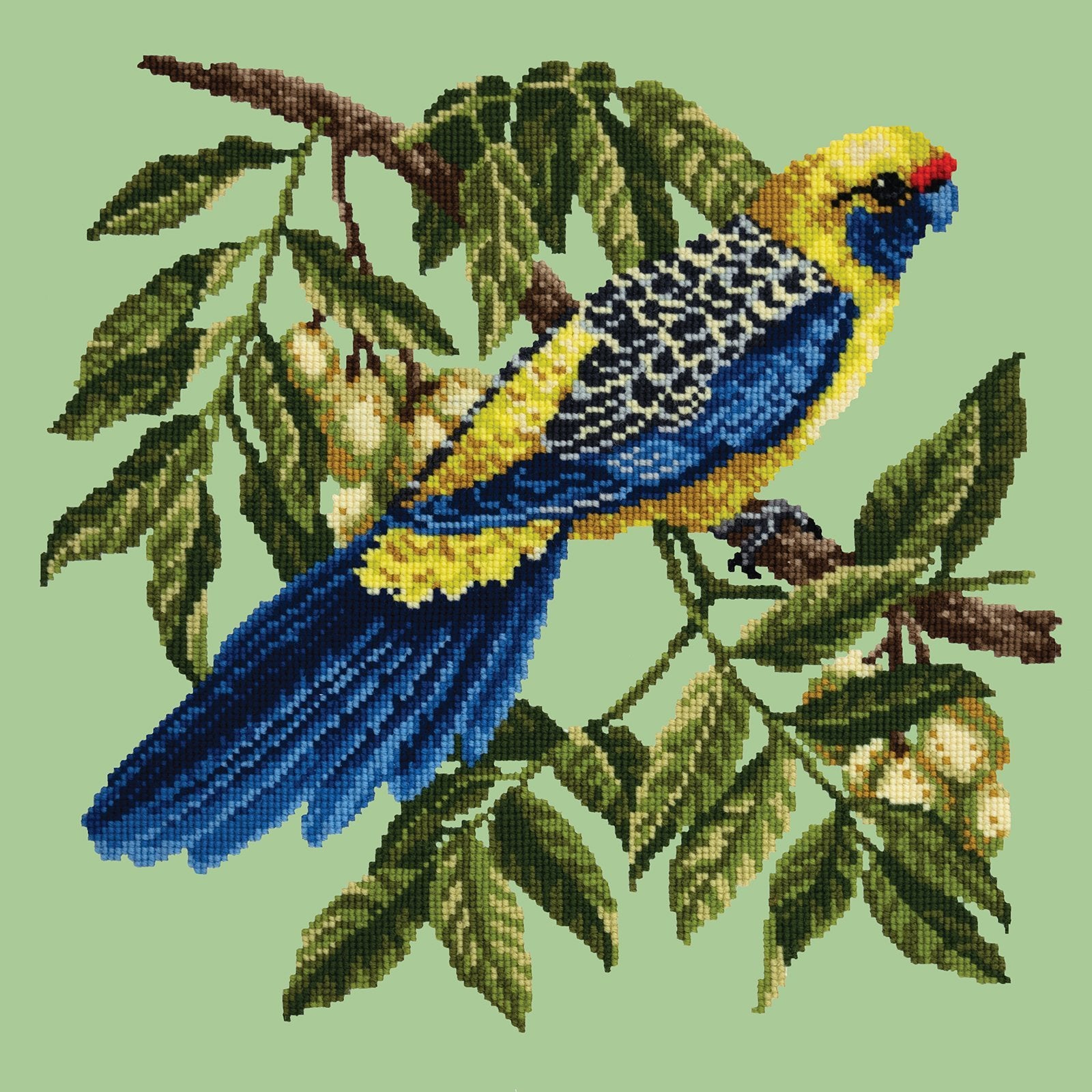 Rosella Needlepoint Kit Elizabeth Bradley Design Pale Green 