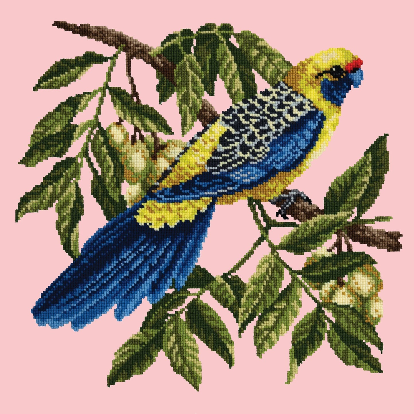 Rosella Needlepoint Kit Elizabeth Bradley Design Pale Rose 