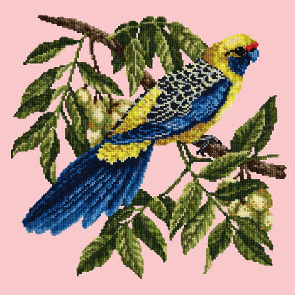 Rosella Needlepoint Kit Elizabeth Bradley Design Pale Rose 
