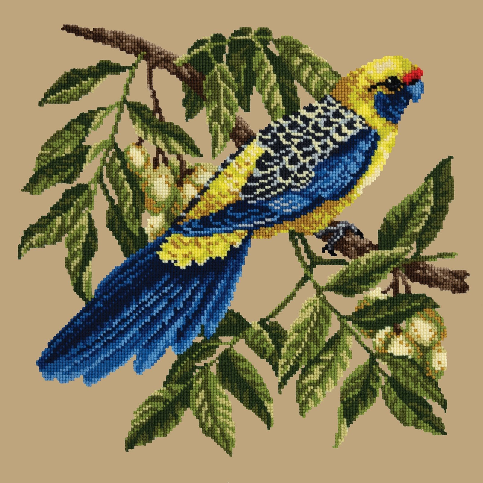 Rosella Needlepoint Kit Elizabeth Bradley Design Sand 