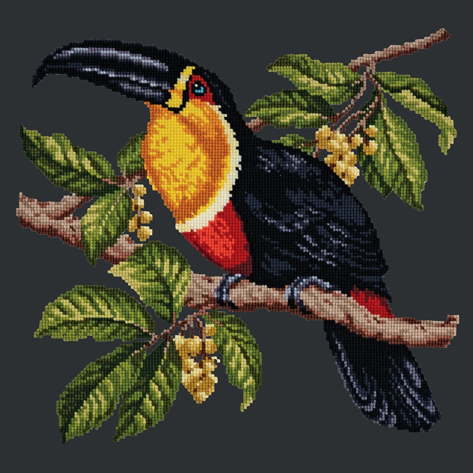 Toucan Needlepoint Kit Elizabeth Bradley Design Black 