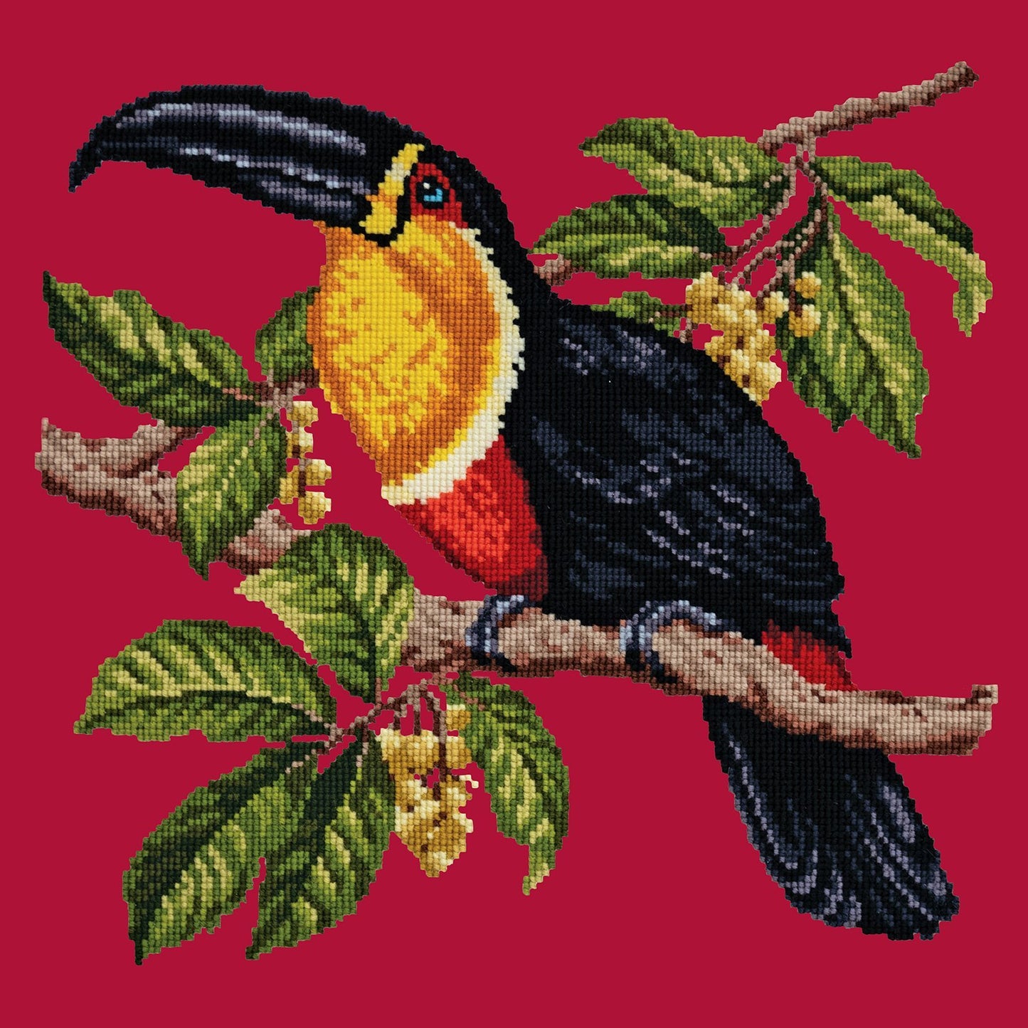 Toucan Needlepoint Kit Elizabeth Bradley Design Bright Red 