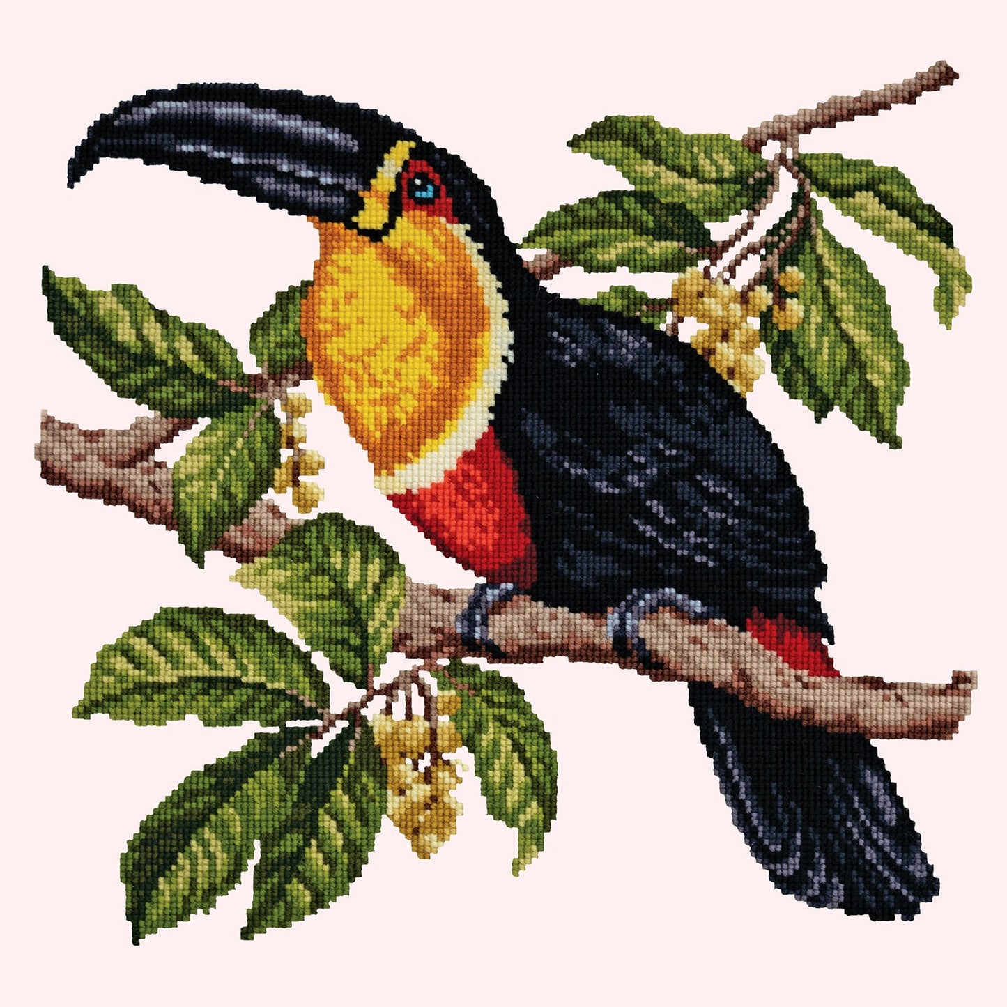 Toucan Needlepoint Kit Elizabeth Bradley Design Cream 