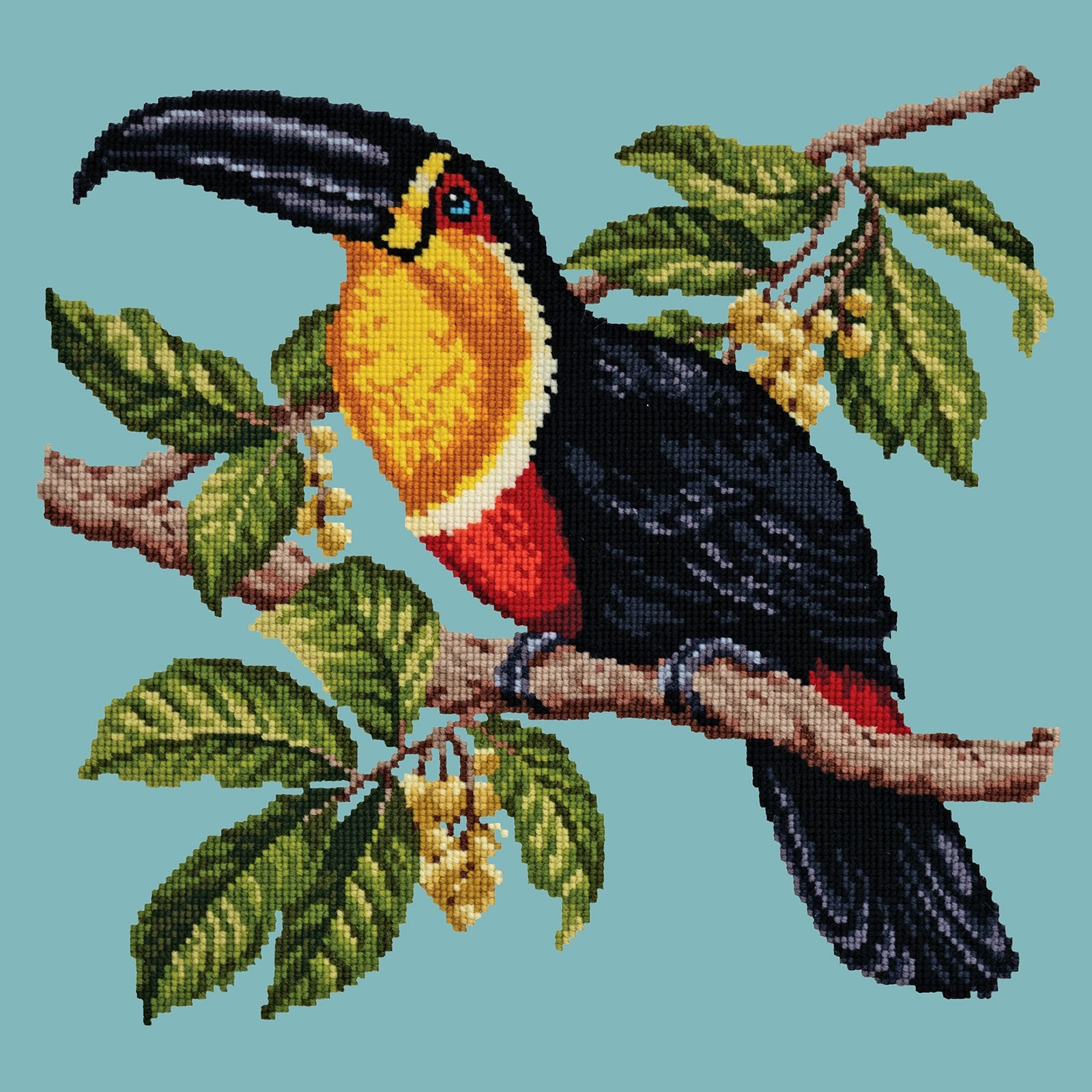 Toucan Needlepoint Kit Elizabeth Bradley Design Duck Egg Blue 