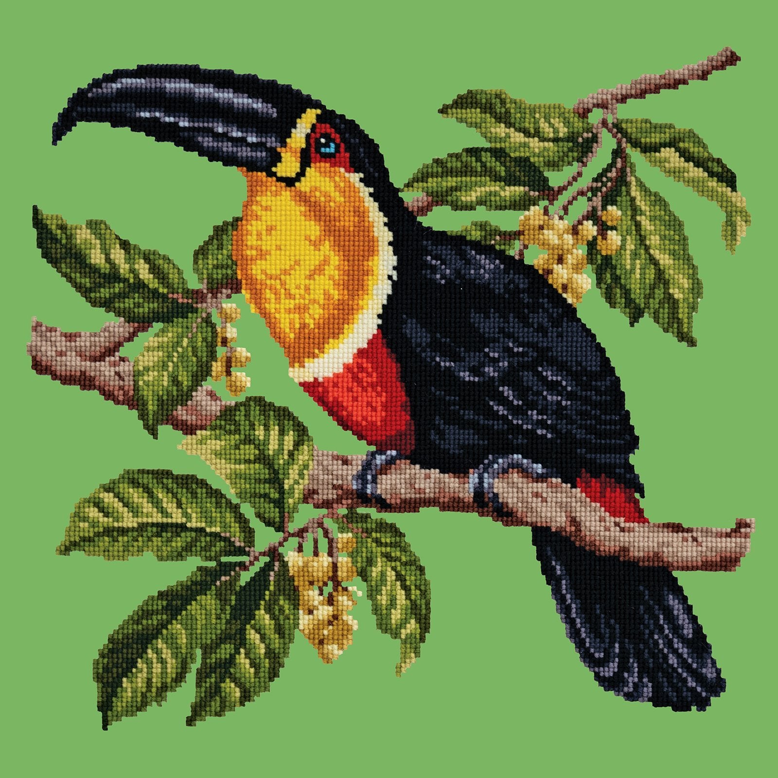 Toucan Needlepoint Kit Elizabeth Bradley Design Grass Green 