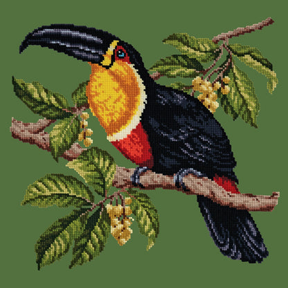 Toucan Needlepoint Kit Elizabeth Bradley Design Dark Green 