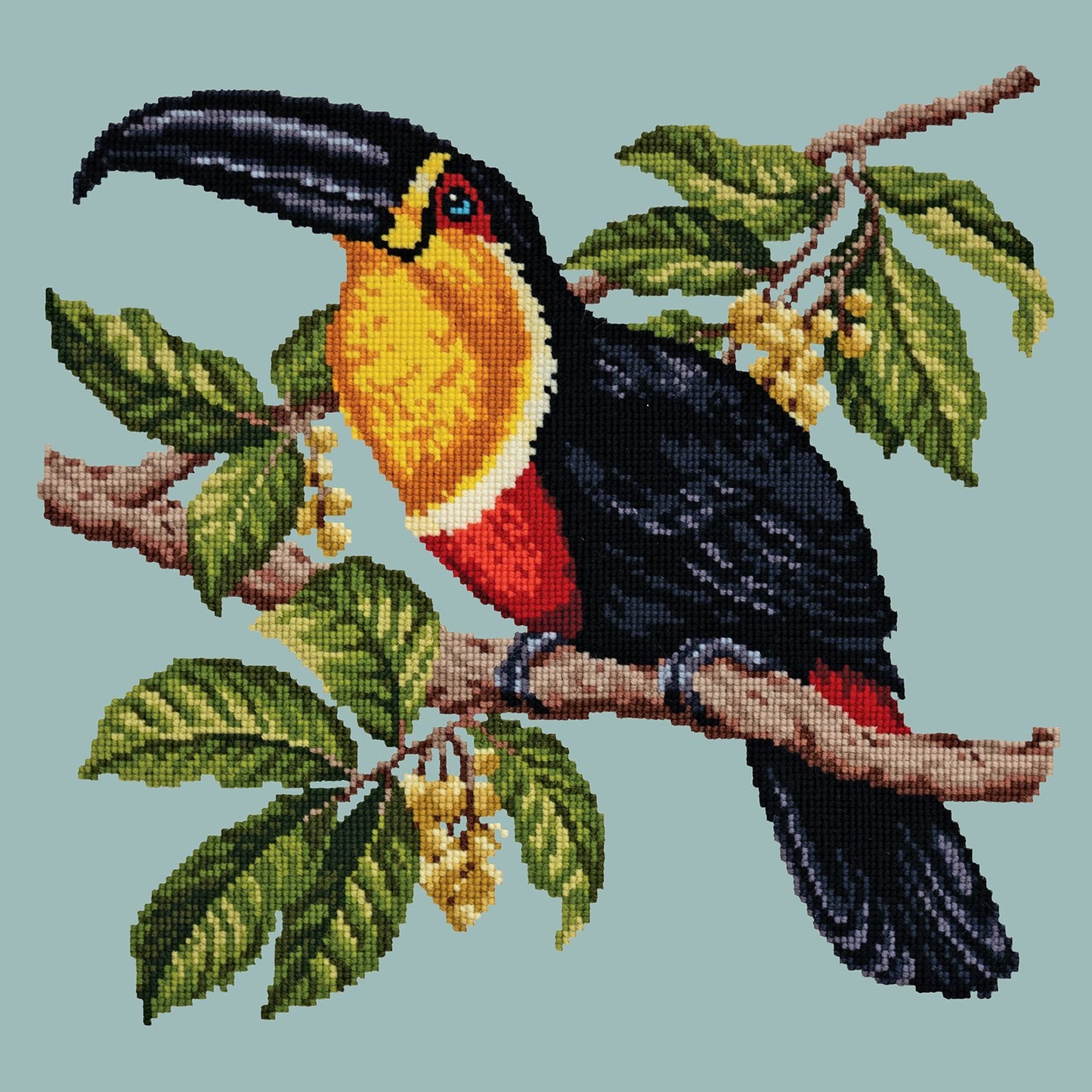 Toucan Needlepoint Kit Elizabeth Bradley Design Pale Blue 