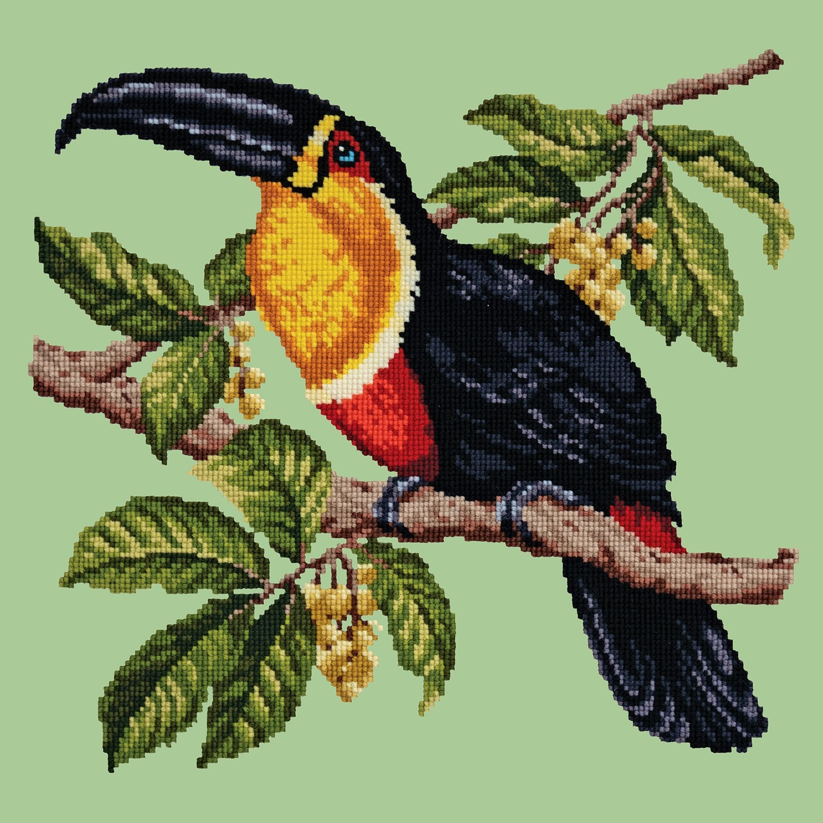 Toucan Needlepoint Kit Elizabeth Bradley Design Pale Green 